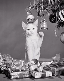 1950s 1960s kitten christmas tree tinsel